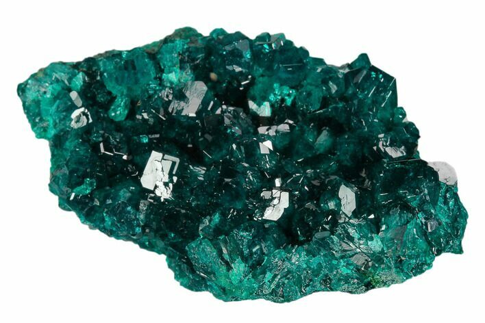 Gorgeous, Gemmy Dioptase Crystal Cluster - Congo #129541